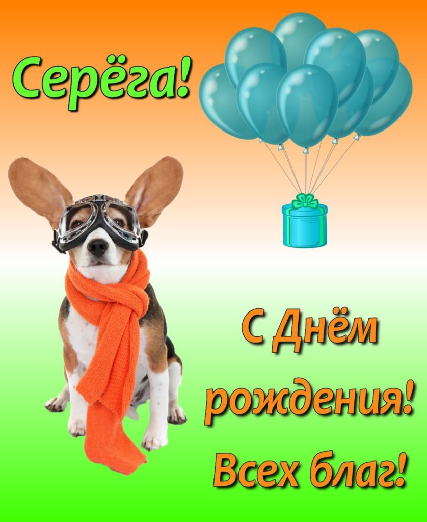 Серега с днем рождения прикольные открытки