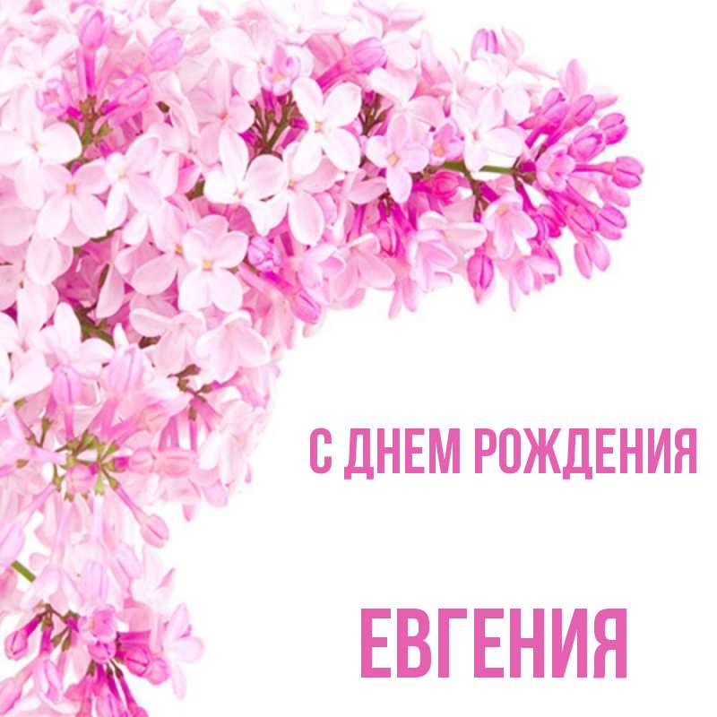 Картинки с днем рождения евгения девушка