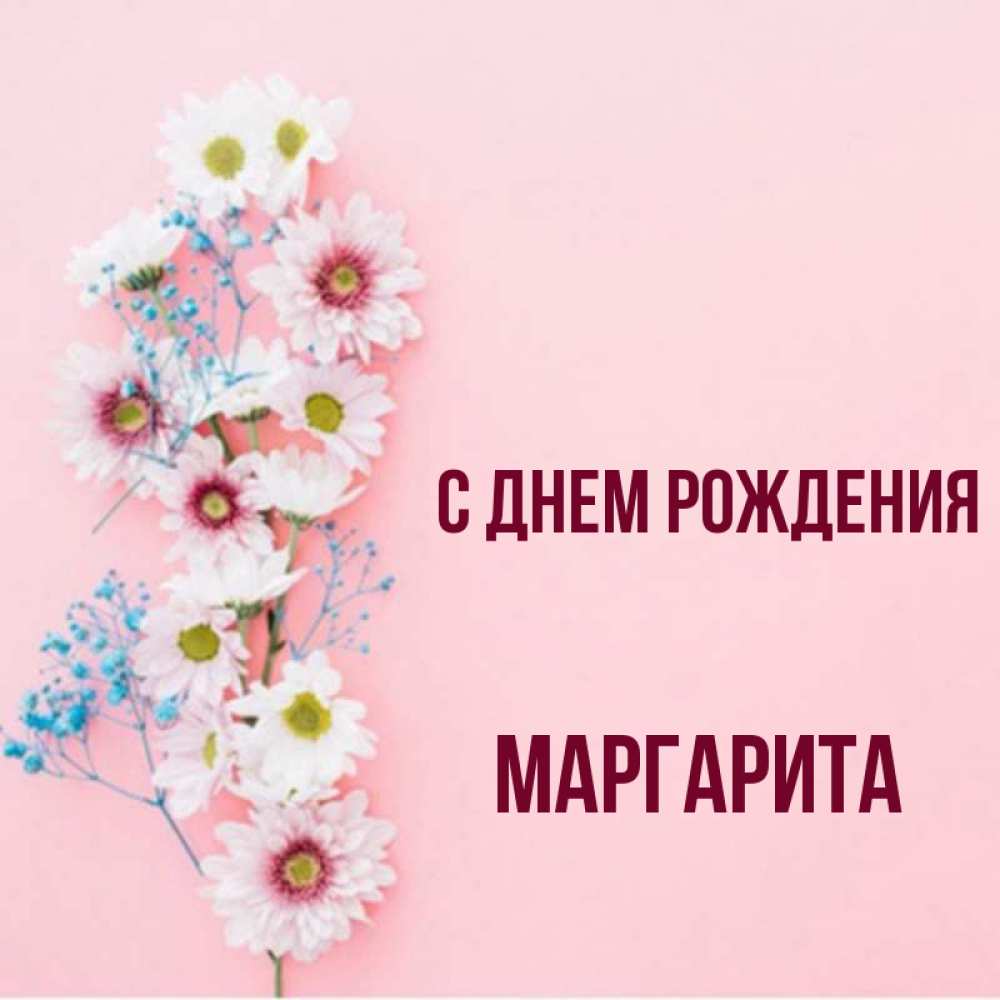 Маргарита с днем рождения картинки для девочки