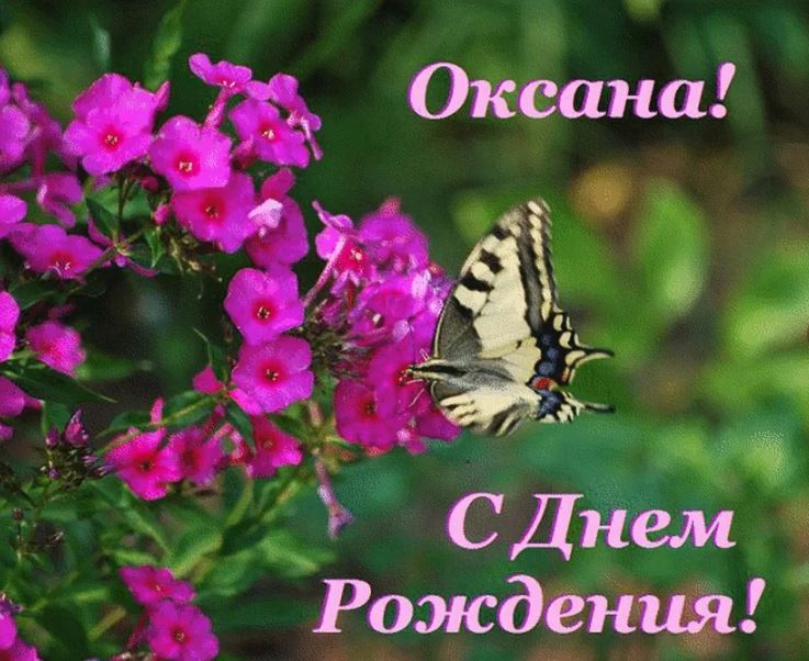 День оксаны