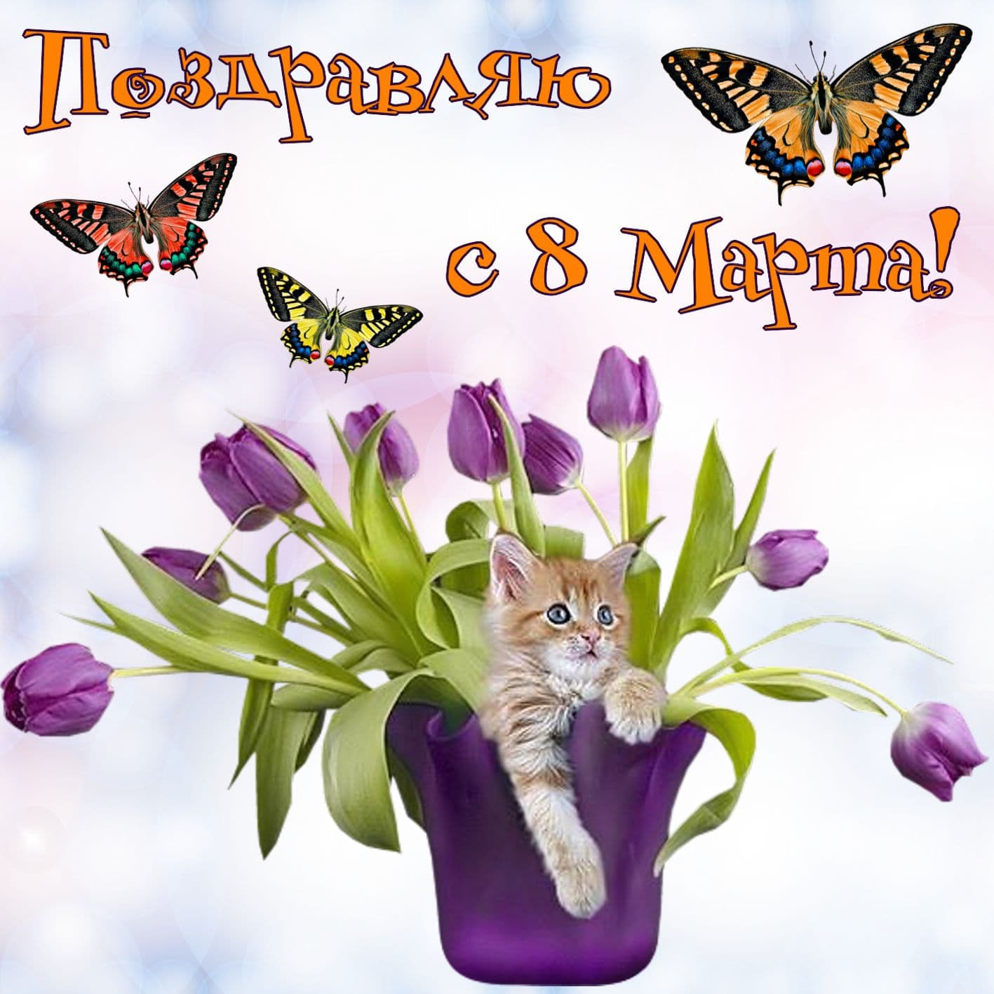 Поздравление с 8 марта открытки с котами