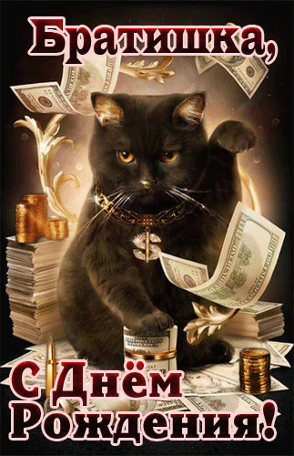 Черный кот с деньгами для брата