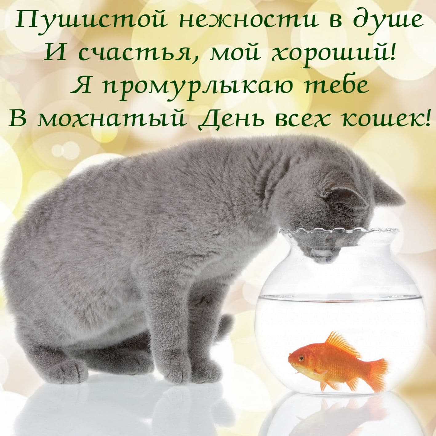 Котик с золотой рыбкой