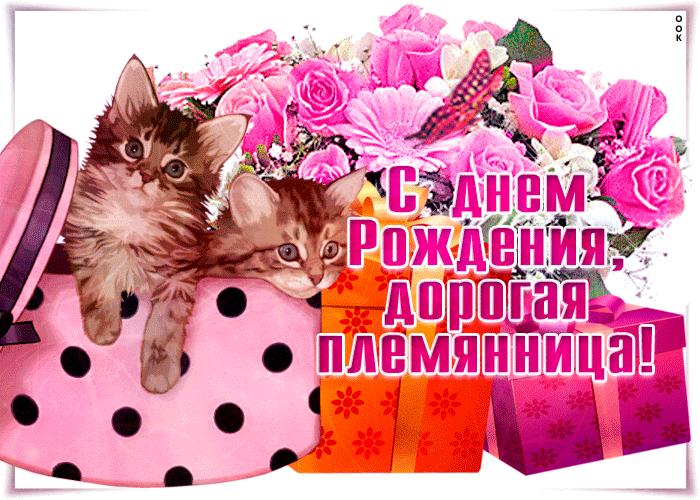 Котик с розами дорогой племяннице