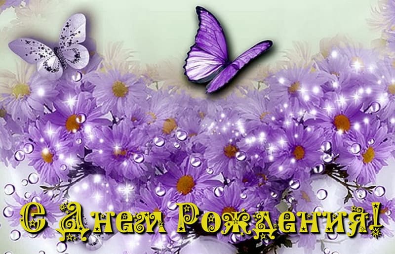 Фиолетовая картинка для именинницы с бабочкой