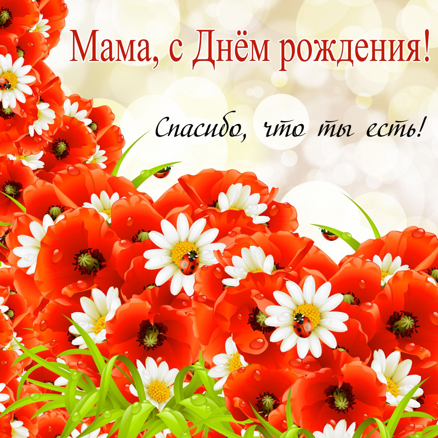 Полевые цветы маме открытка