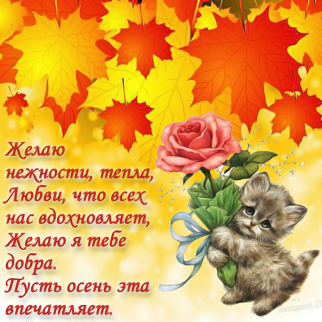 Хорошего осеннего дня картинки с пожеланиями. Осенние поздравления с добрым. Поздравление с осенью. С добрым утром осенним с пожеланиями. Осеннего дня пожелания.