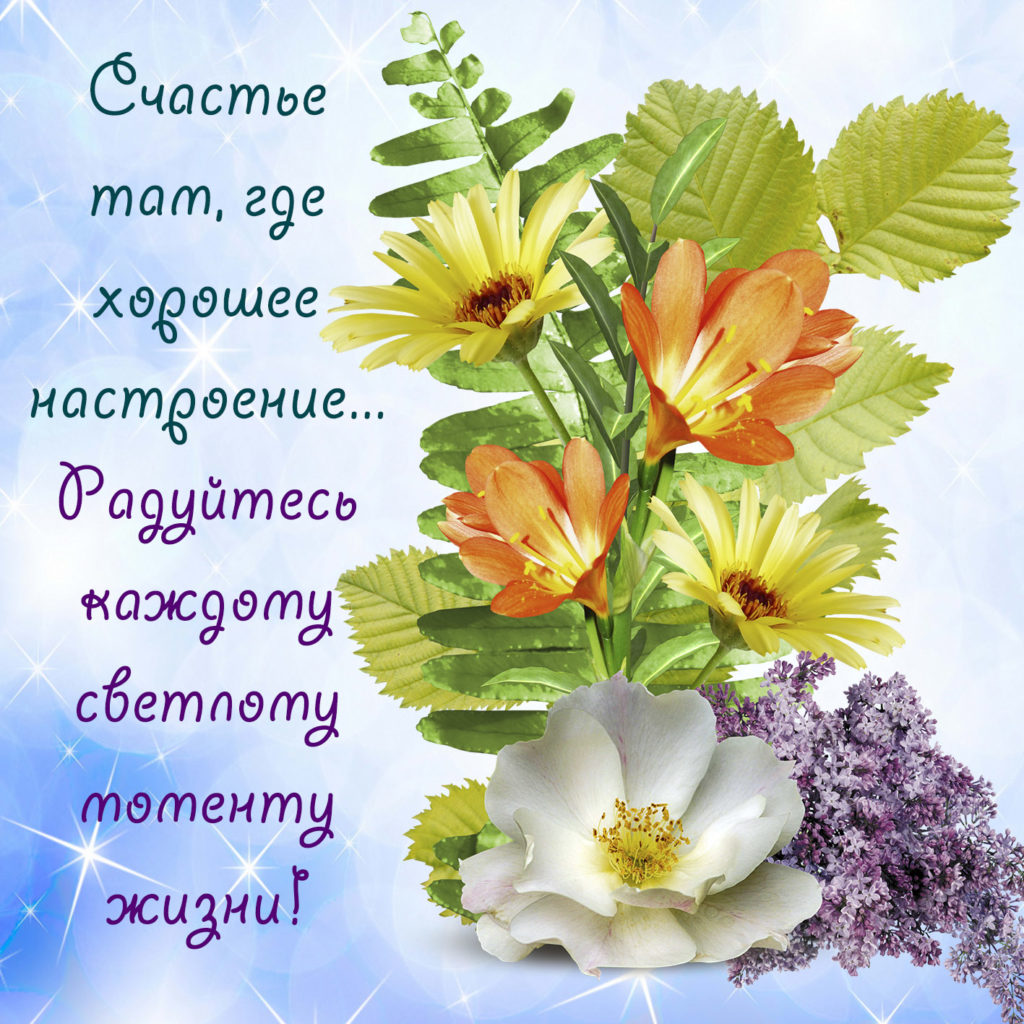 Пусть счастье не кончается. Пожелания на день. Добрые пожелания. Пожелания накаждыц день. Открытки с пожеланиями.