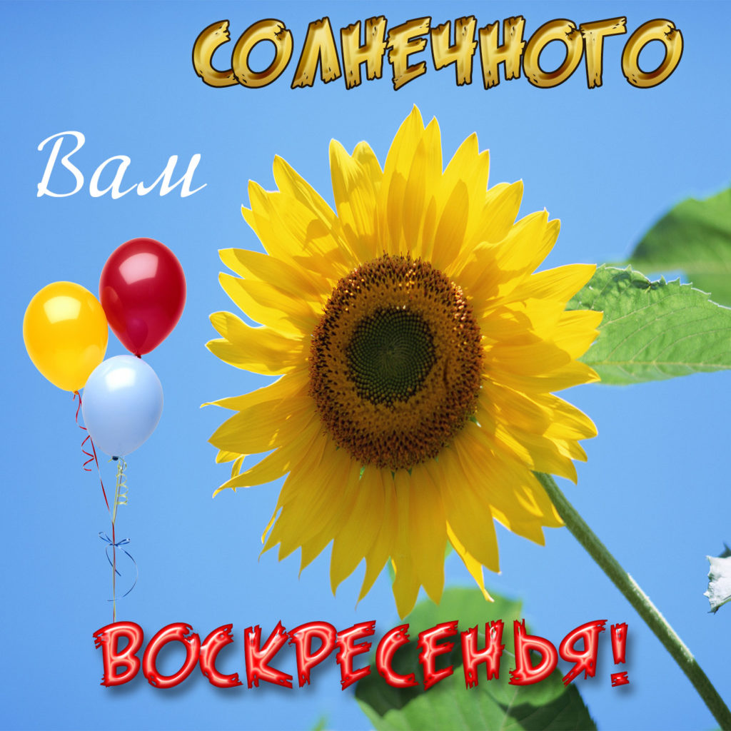 Открытки и картинки Воскреснье - скачать бесплатно