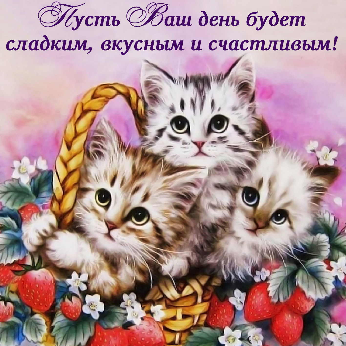 картинки открытки котики