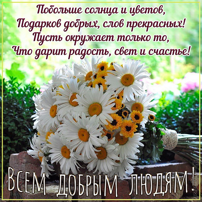 С добрым утром картинки с пожеланиями новые с природой летние здоровья и счастья