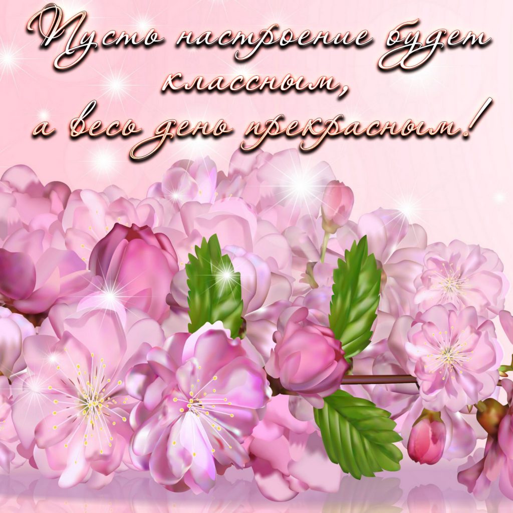 Открытки и картинки Добрый день | Доброго дня