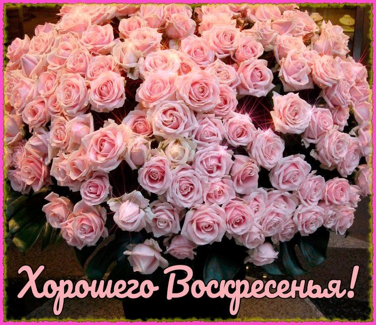Красивая открытка с розами и пожеланием хорошего воскресенья
