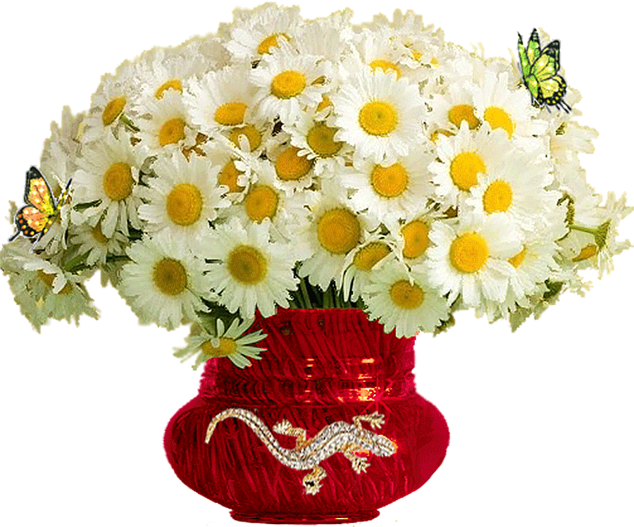 Анимационная открытка ромашки в красной вазе