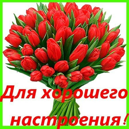 Картинка с тюльпанами и пожеланием хорошего настроения