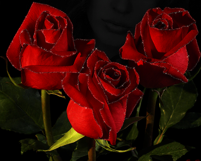 Мерцающая открытка с бархатными розами