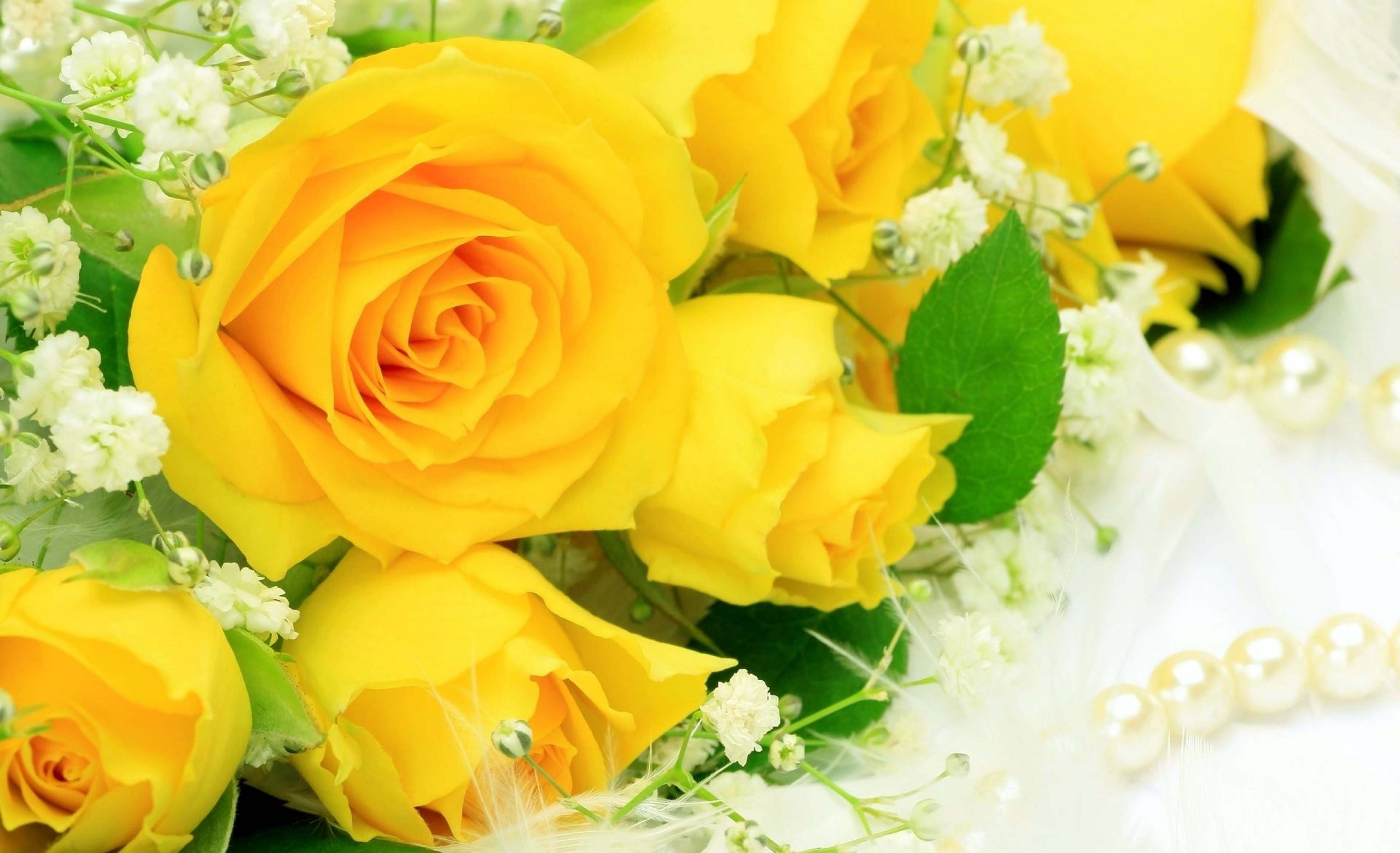 Открытка с красивыми цветами поздравляем. Желтые розы. Шикарные цветы. Красивый желтый букет. Открытки с цветами красивые.