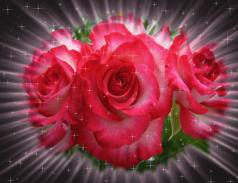 Мерцающая открытка с волшебными розами