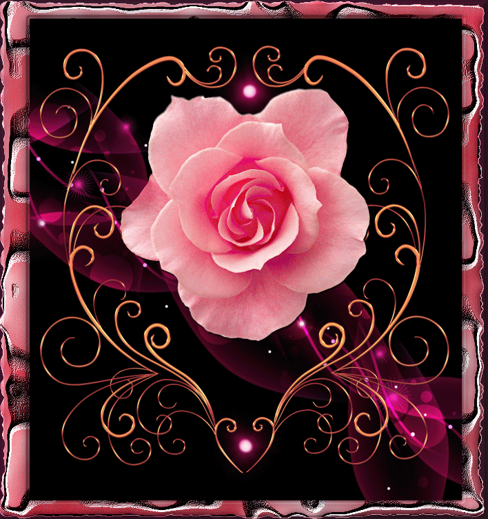 Открытка с розовой розой