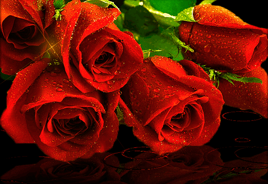 Красивые мерцающие открытки розы. Анимационные цветы. Сверкающие букеты. Мерцающие цветы.