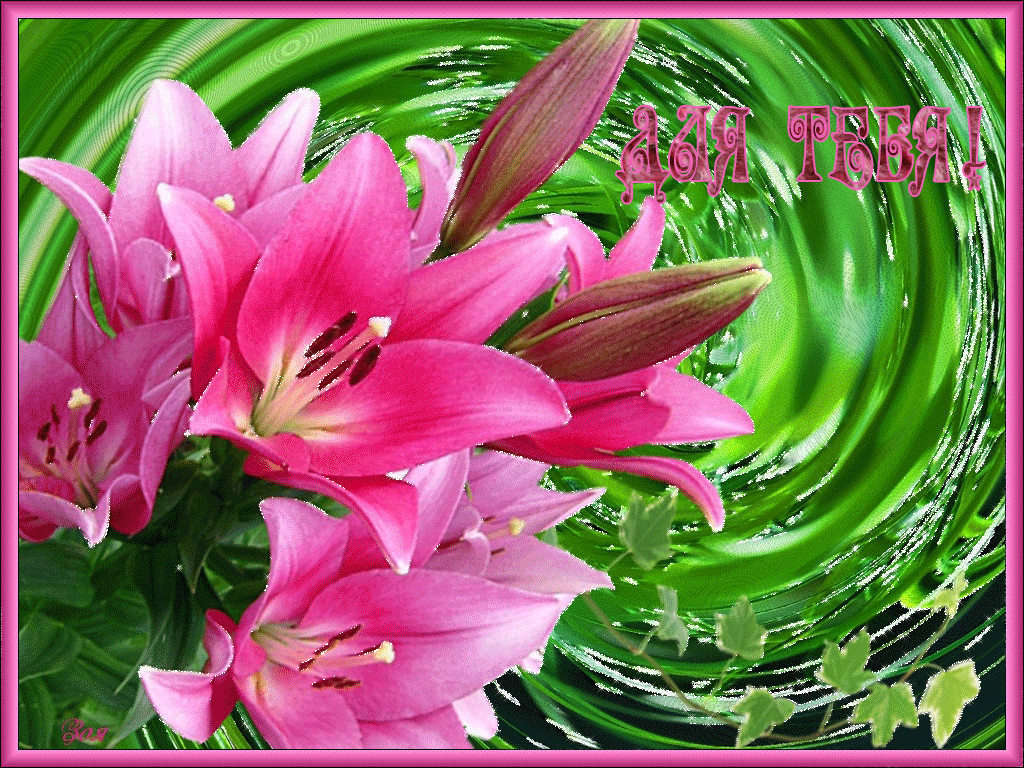 Красивое поздравление с днем рождения лилии. Букет "лилии". С днём рождения лилии цветы. Мерцающие лилии. Открытки букет лилий красивые.