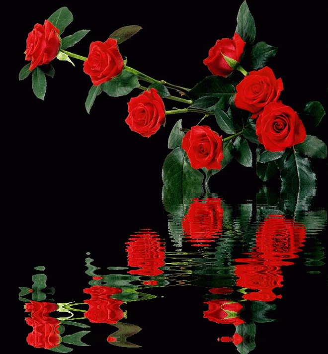 Анимационная открытка с розами
