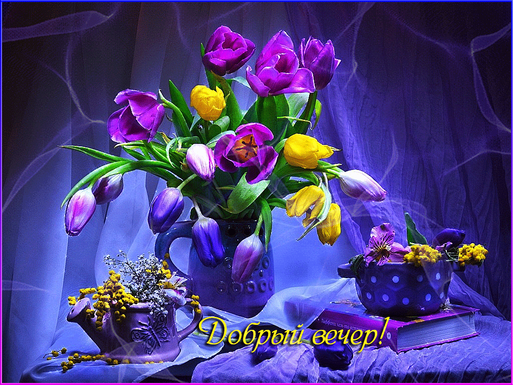 анимационная открытка с тюльпанами и пожеланием доброй ночи