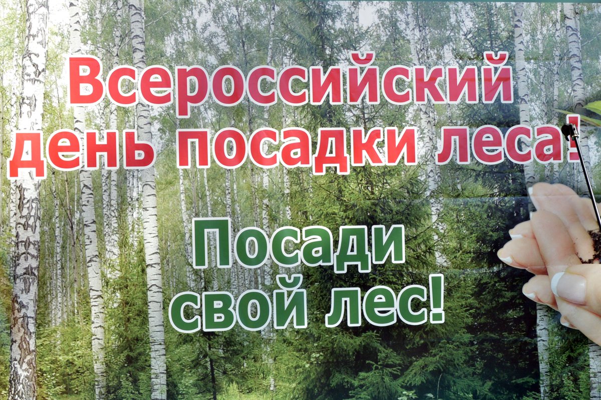 Картинка всероссийский день посадки леса