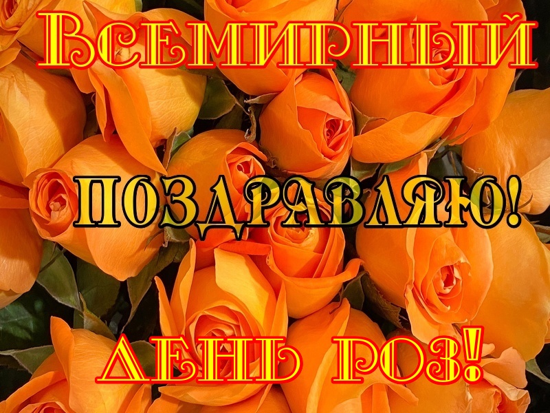 Поздравительная открытка всемирный день роз