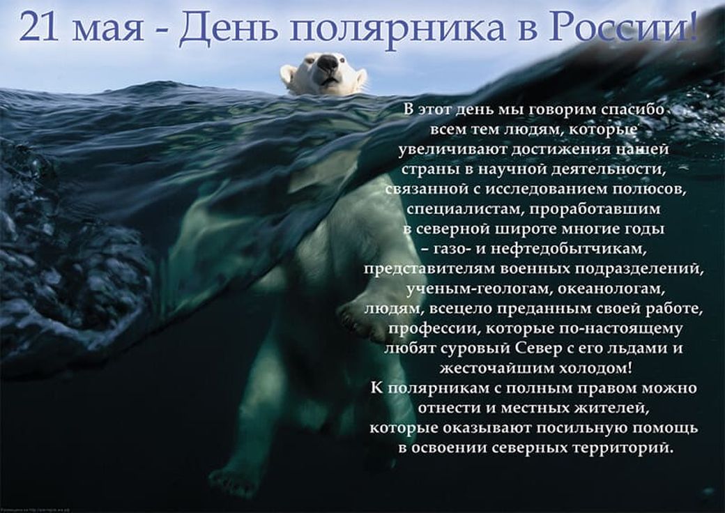 Картинка день полярника в россии