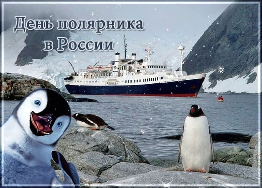 Смешная открытка с днем полярника в россии