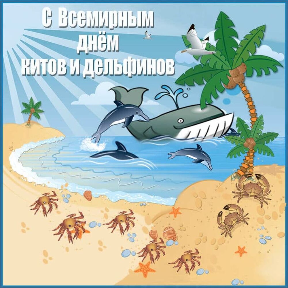 Прикольная открытка со всемирным днем китов и дельфинов