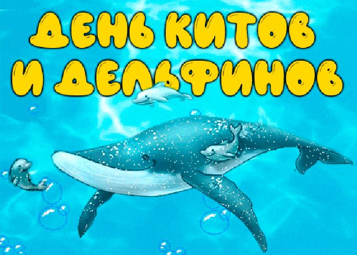 Яркая открытка на день китов и дельфинов