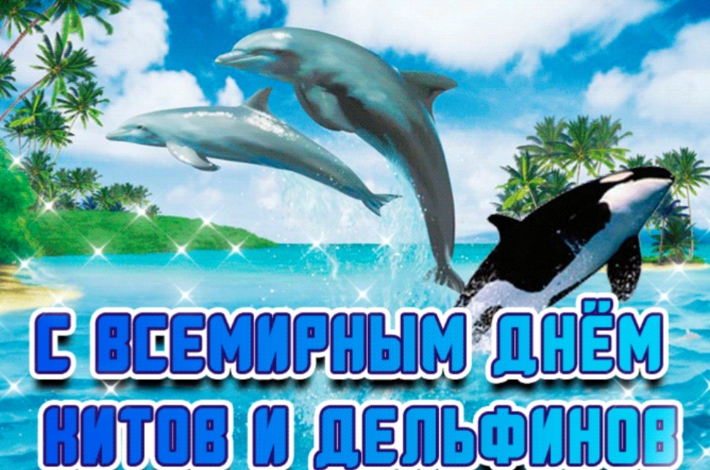 Красивая открытка со всемирным днем китов и дельфинов