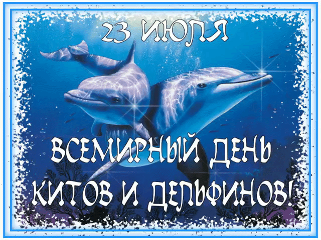 Мерцающая открытка всемирный день китов и дельфинов