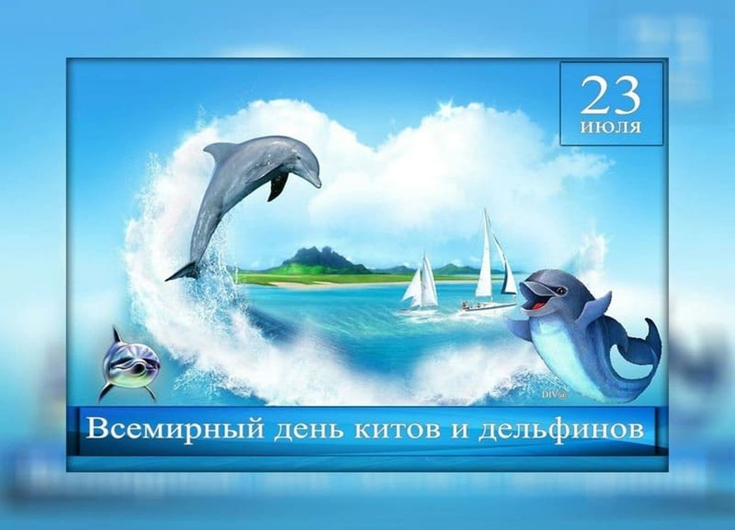 Красивая открытка на день китов и дельфинов