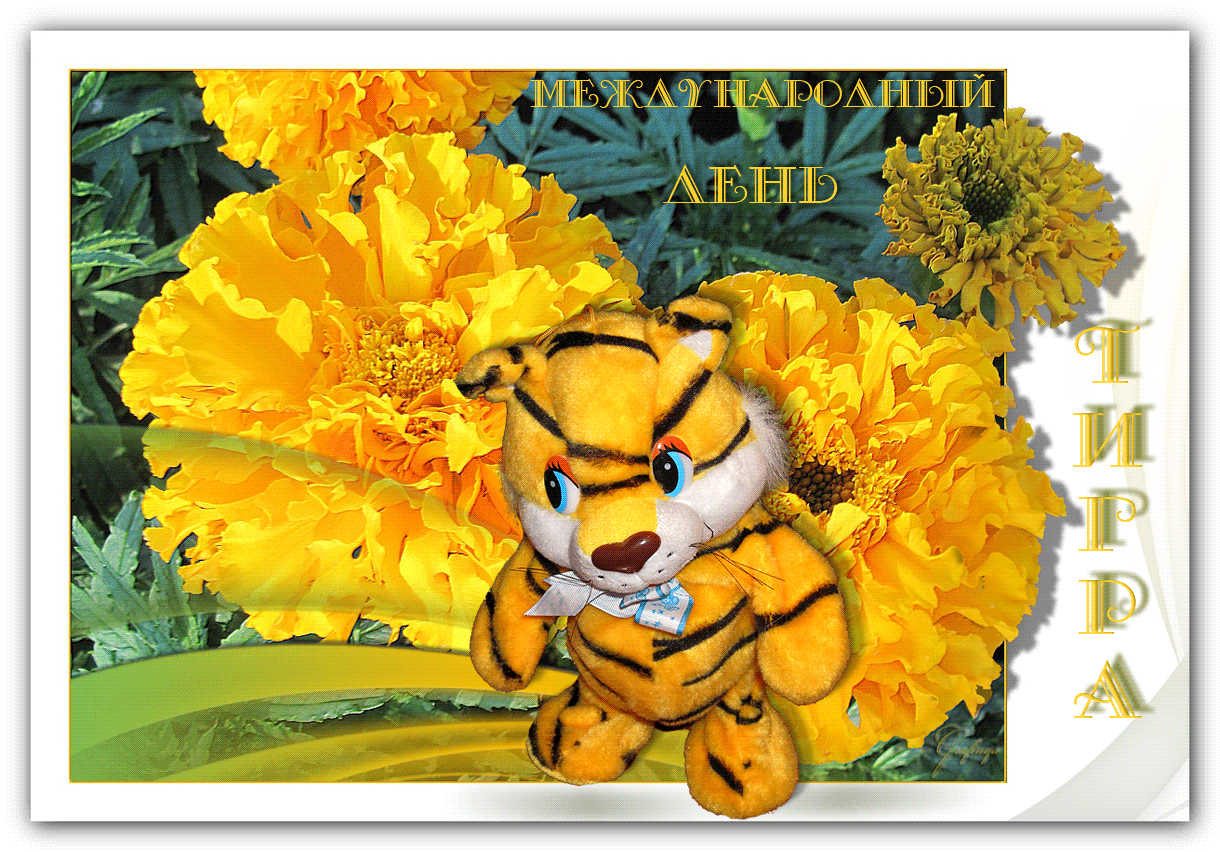 Анимационная открытка с днем тигра