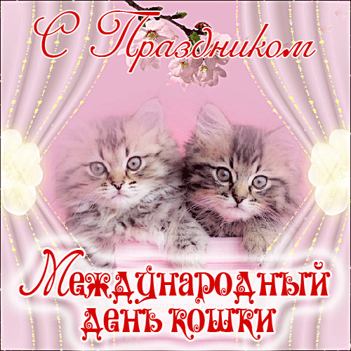 Мерцающая открытка международный день кошек