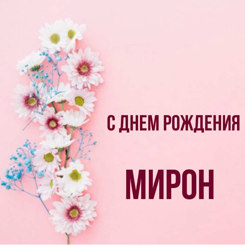 Картинки с днем рождения мирон картинки