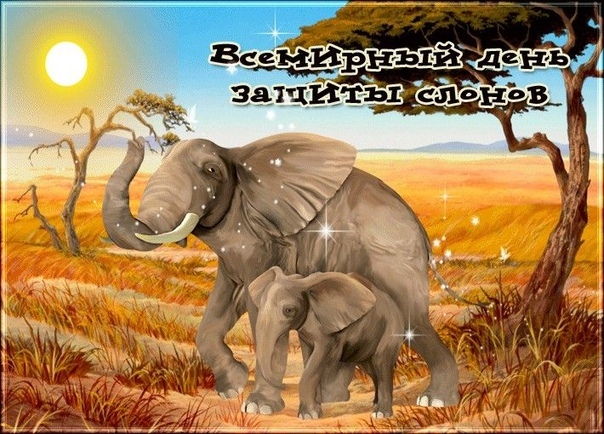 Красивая открытка с днем защиты слонов