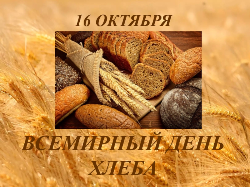 Картинка на всемирны день хлеба