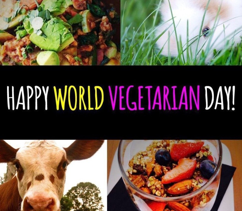 Яркая картинка на всемирный день вегетарианства