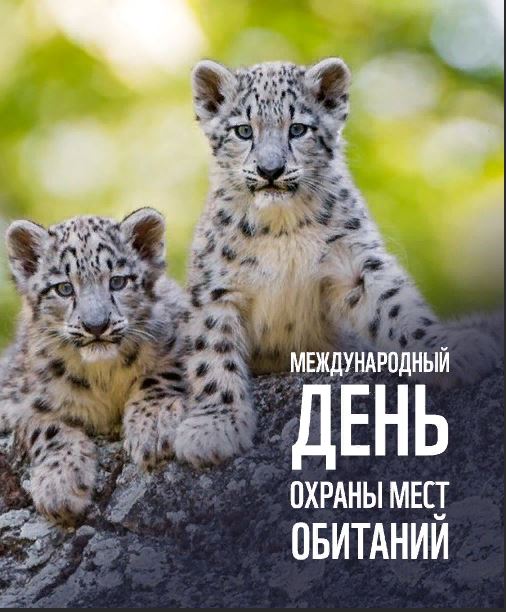 Нежная открытка со всемирным днем охраны мест обитания