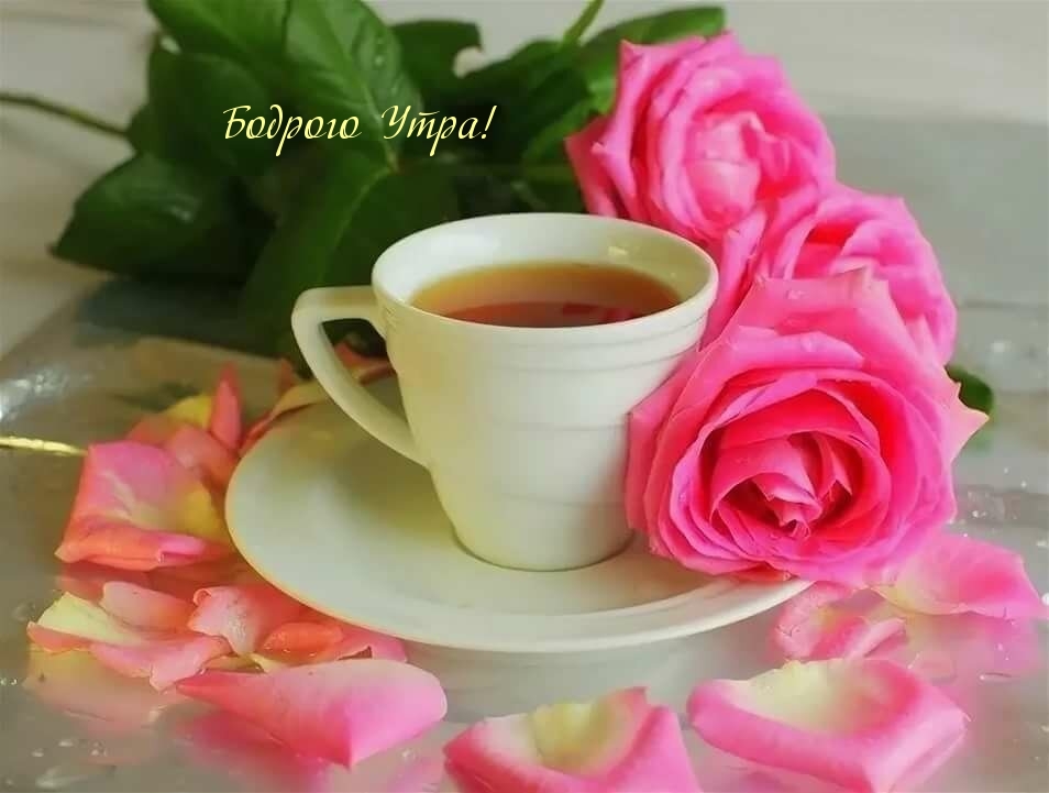 Вкусный кофе и цветы