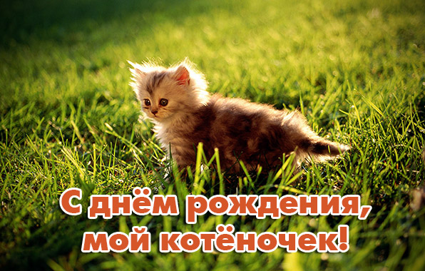 С днем рождения мой котеночек!