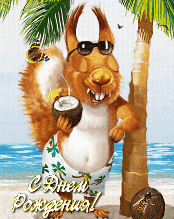 Белка в трусах с кокосом на пляже гифка!