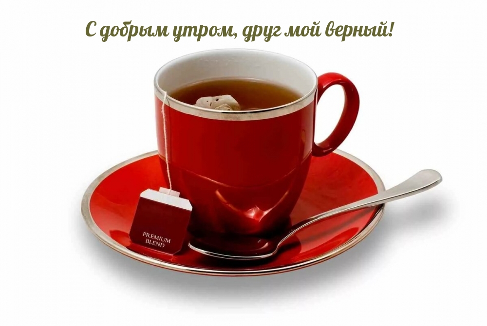 Красная чашка с чаем