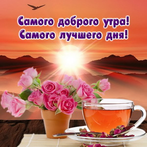 Розы и чай