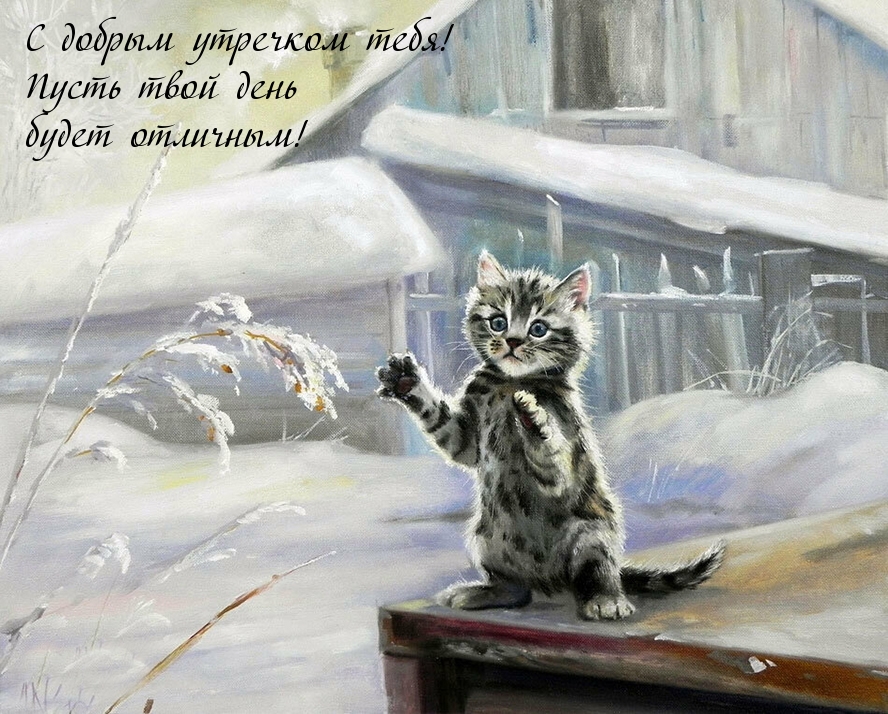 Кот и зимний дом