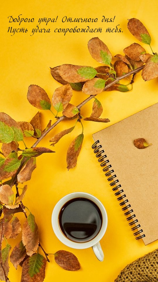 Кофе, листья и тетрадь